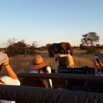 Travel to Africa in 2021