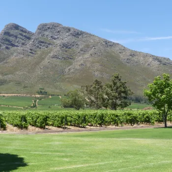 Cape Town Wine Tours  – Experience the best of South African wines.