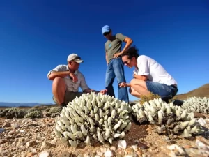 Sanbona-Guest-Experience-16-e1562603205840-1