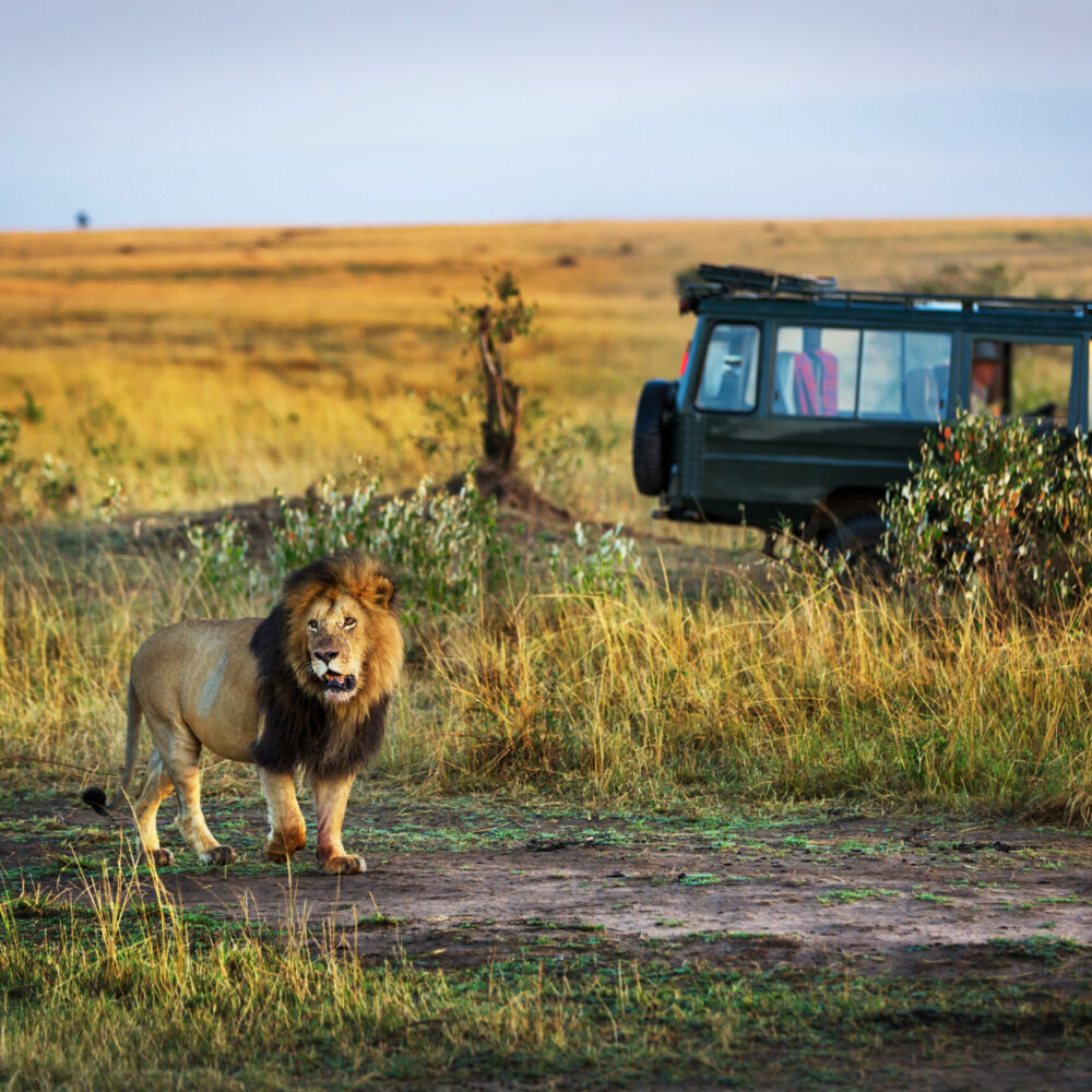 Splendour of East Africa