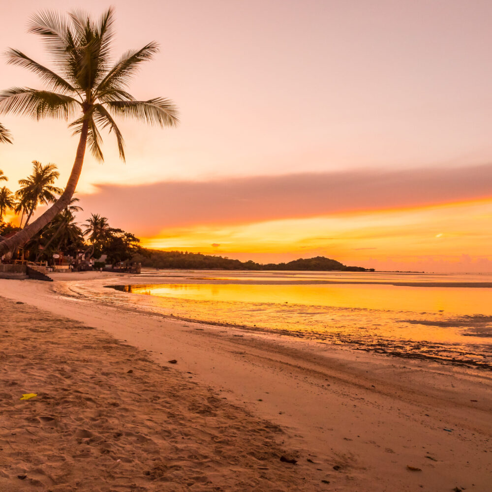 Mauritius Honeymoon Bliss and Botswana Safari