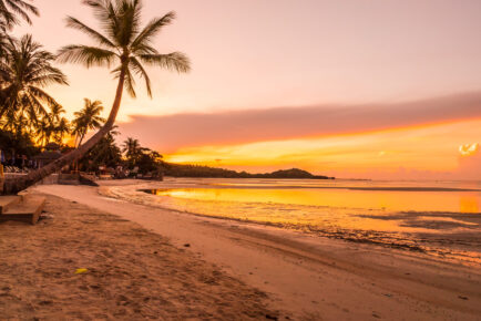 Mauritius Honeymoon Bliss and Botswana Safari