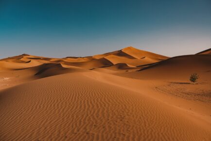 Namibia Desert Explorer