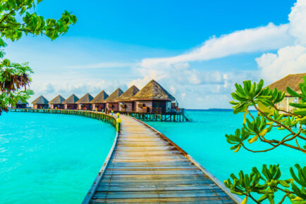 Cape Town, Safari and Magical Maldives