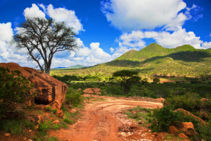 Kenya Wildlife Safari