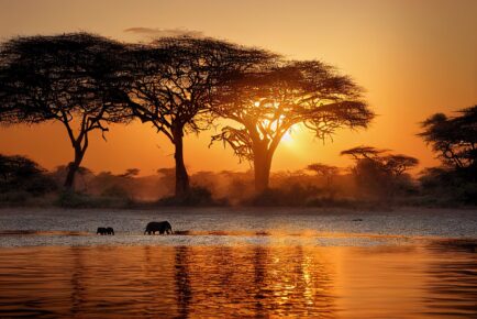 Luxury Southern Africa Safari