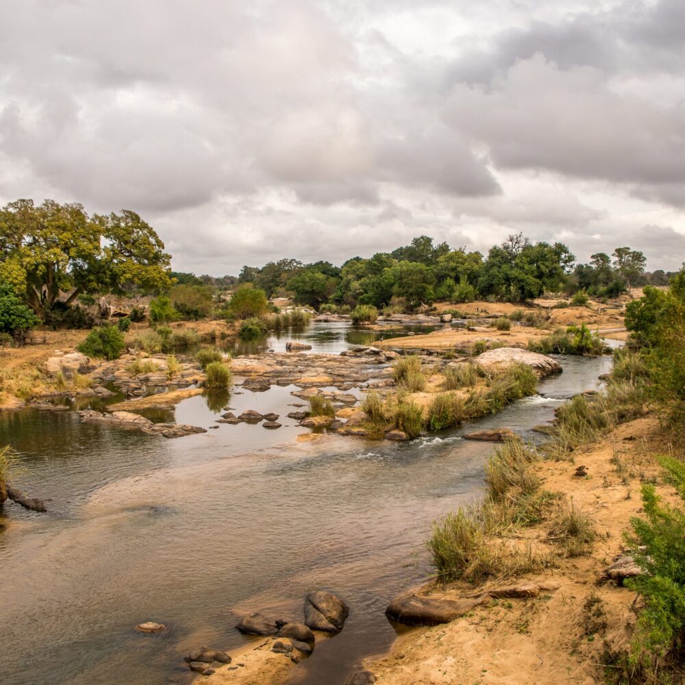 Botswana Exclusive Safari