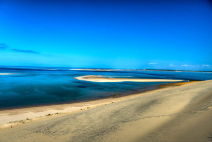 Kenya Wildlife and Beach Safari