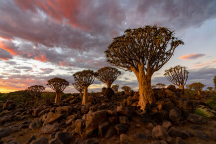 Namibia Tours and Wildlife Safari
