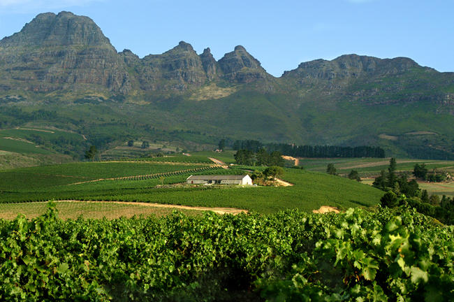 stellenbosch WR C