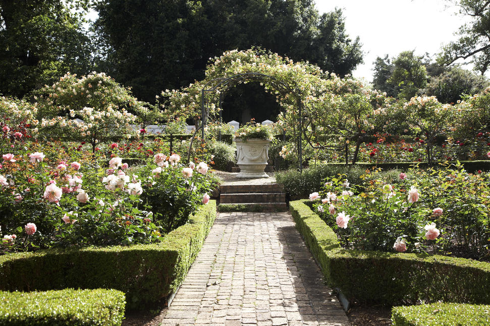 tch-gardens-fauna-028-s