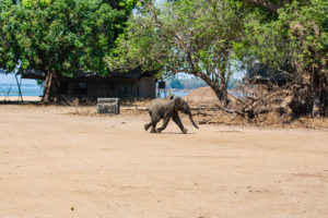 Bumi Hills 2