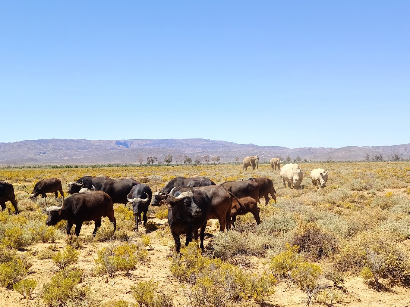 Inverdoorn 3