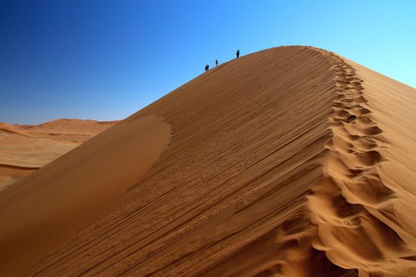 Sossusvlei Dune 45